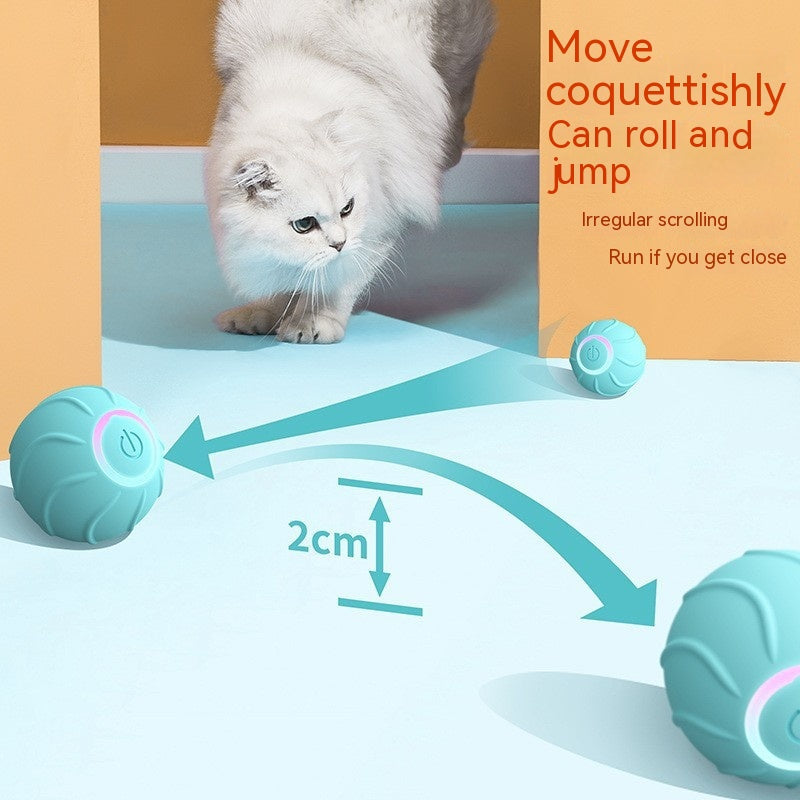 smart cat rolling ball