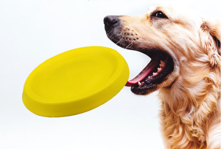 Dogs Frisbee Heavy Duty
 Product Information
 


 Product Category: Throwing Toys
 
 Weight: 70g
 
 Material: EVA material
 
 Color: yellow
 
 Product function: funny training, increase fePet AccessoriesPoochPlus.shopPoochPlus.shopDogs Frisbee Heavy Duty