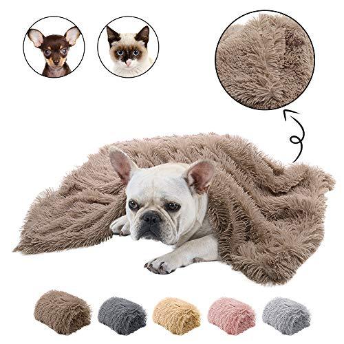 Pet Plush Mat Blanket
 Specifications:
 
 
 
 
 S: 56 * 36 cm
 
 
 
 
 M: 78 * 54 cm
 
 
 
 
 L: 100 * 75 cm


 
  


  
 
 


 
  


  
 
 


 
   
 
Pet blanketPoochPlus.shopPoochPlus.shopPet Plush Mat Blanket