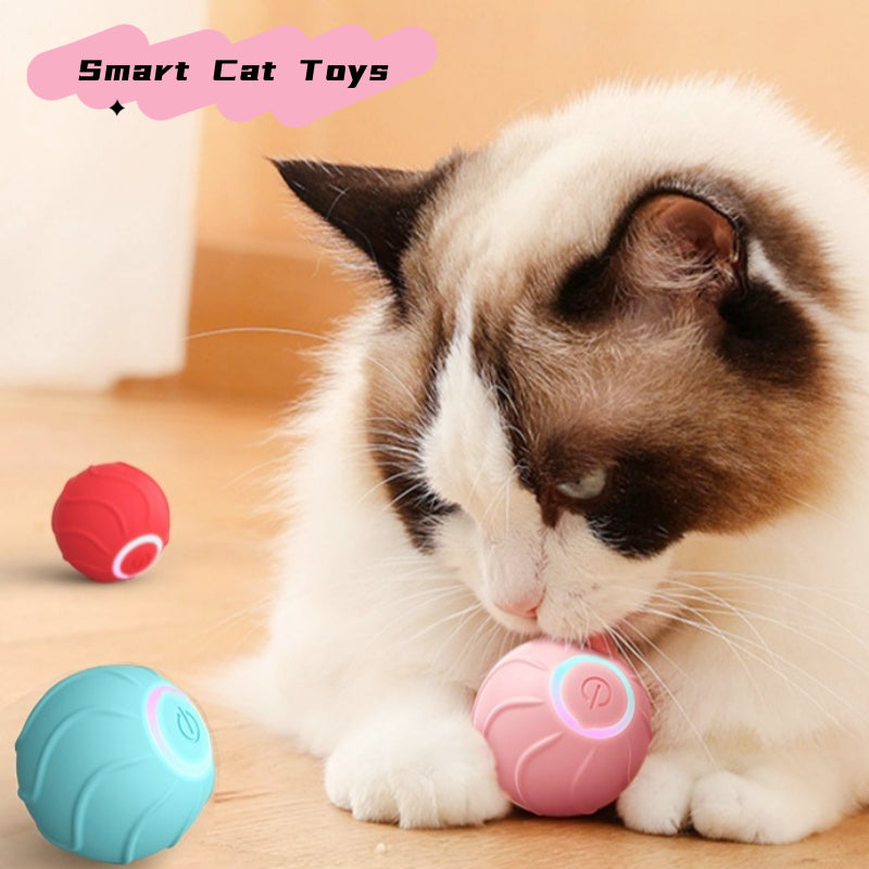 smart cat rolling ball