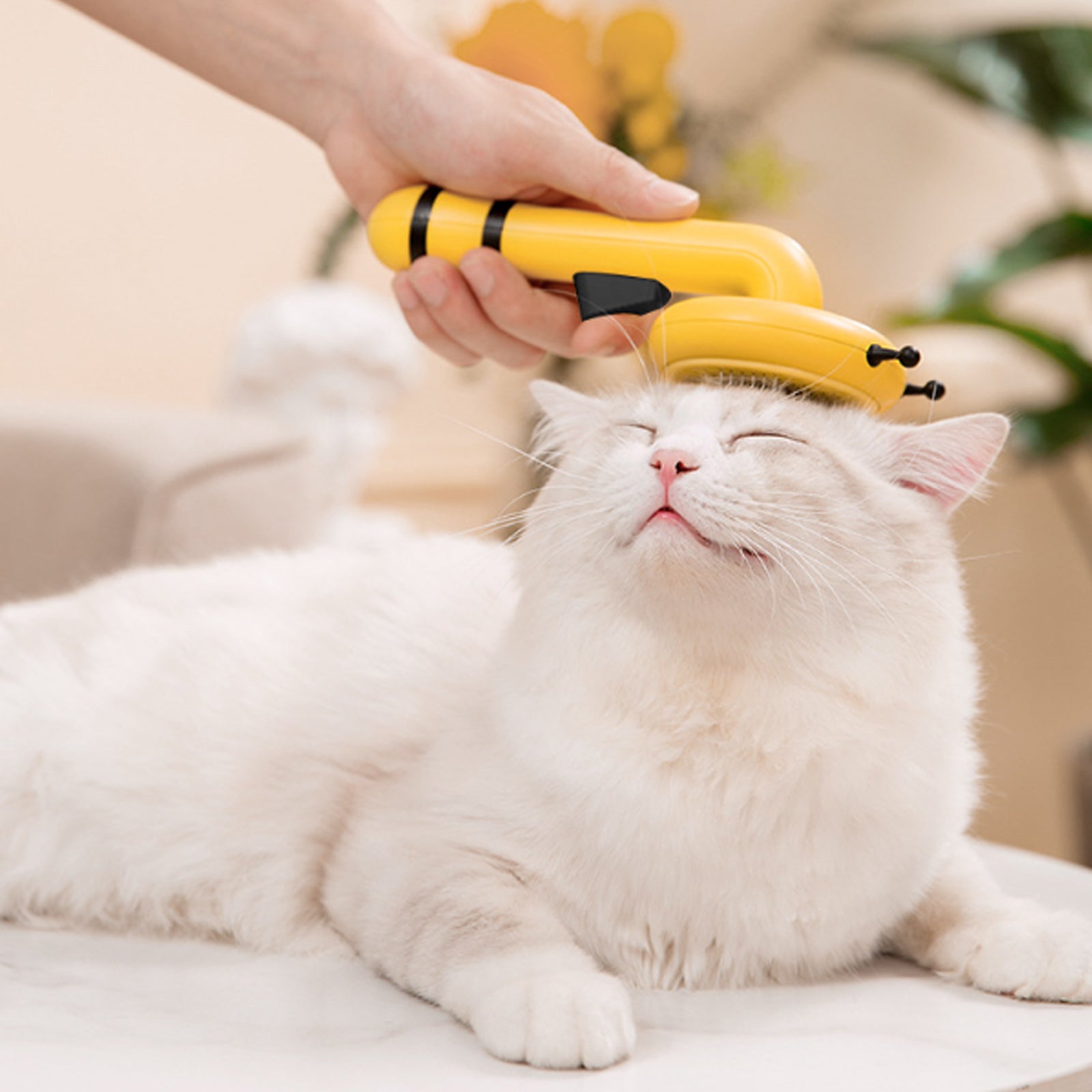 Cat Comb Brush for Washing