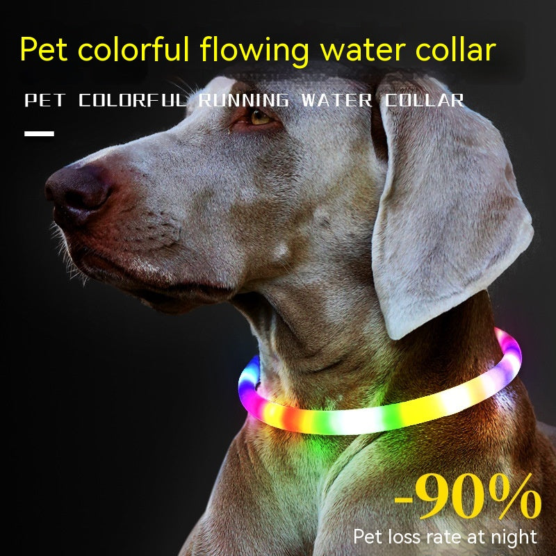 Fashion Led Pet Collar Dog